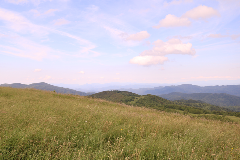 Illustration for article titled Max Patch Mountain, NC